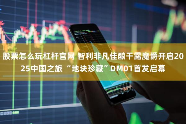 股票怎么玩杠杆官网 智利非凡佳酿干露魔爵开启2025中国之旅 “地块珍藏”DM01首发启幕