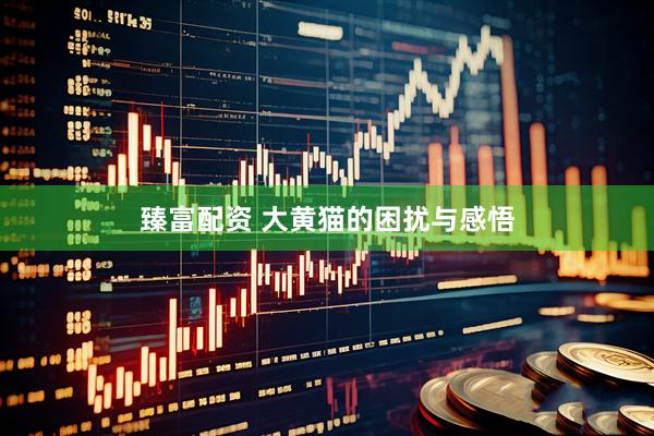 臻富配资 大黄猫的困扰与感悟