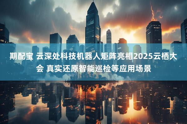 期配宝 云深处科技机器人矩阵亮相2025云栖大会 真实还原智能巡检等应用场景