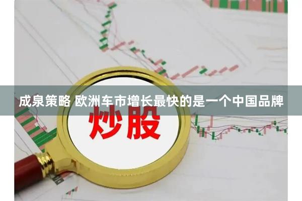 成泉策略 欧洲车市增长最快的是一个中国品牌