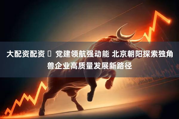 大配资配资 ​党建领航强动能 北京朝阳探索独角兽企业高质量发展新路径