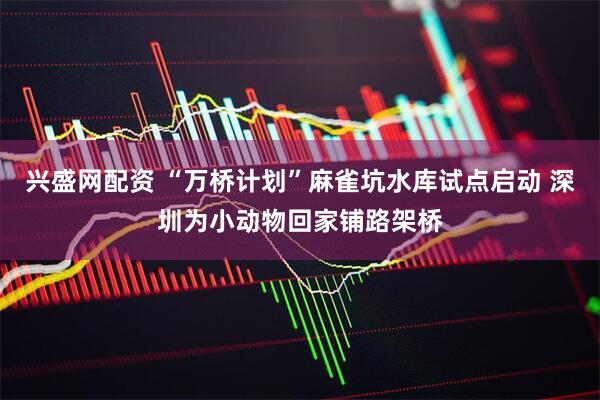 兴盛网配资 “万桥计划”麻雀坑水库试点启动 深圳为小动物回家铺路架桥