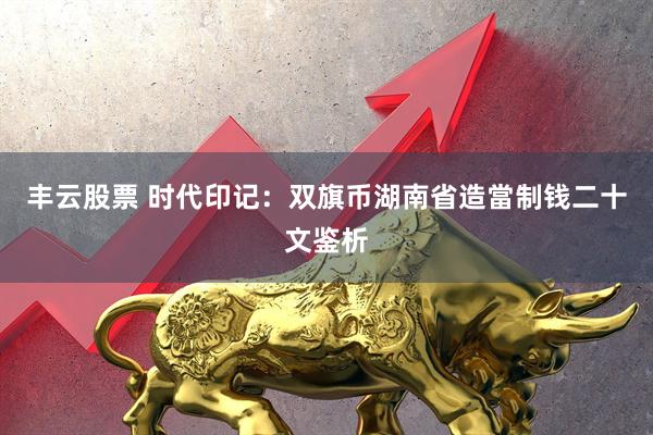 丰云股票 时代印记：双旗币湖南省造當制钱二十文鉴析